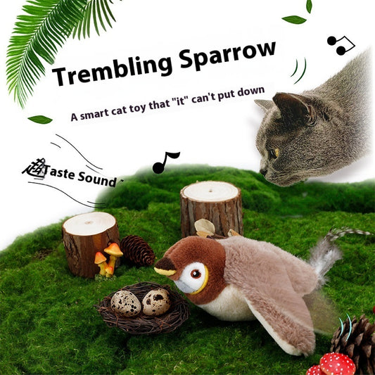 Interactive Cat Toys